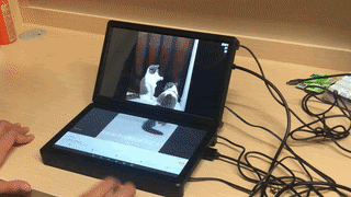 Dual-screen Android